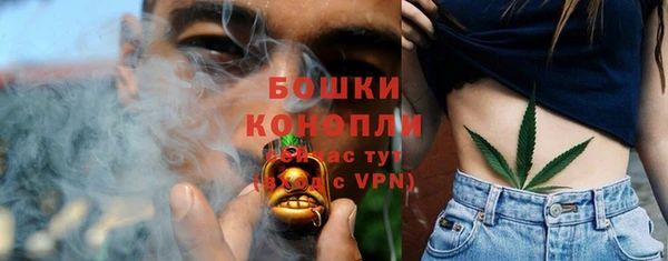 тгк Мегион