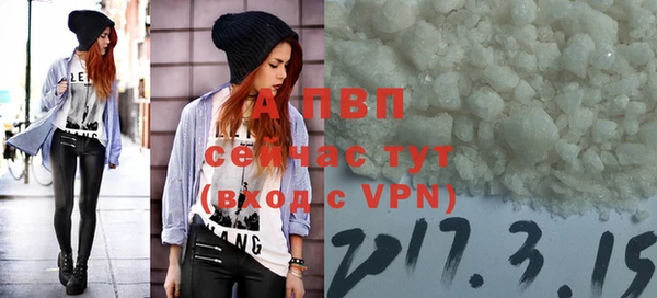 тгк Абаза