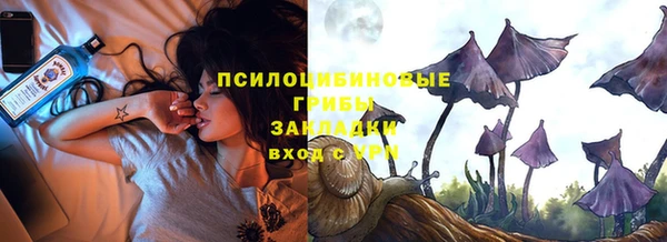 тгк Мегион